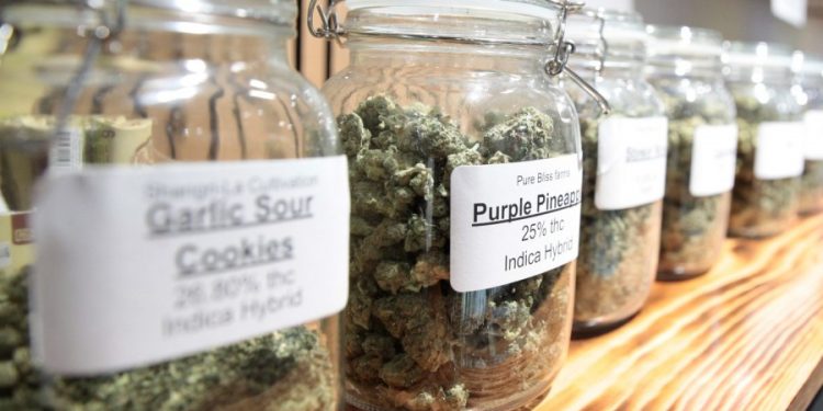 Voters offer divided opinion on legal weed in midterms