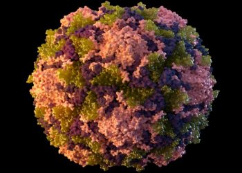 CDC starting wastewater testing for polio in select communities