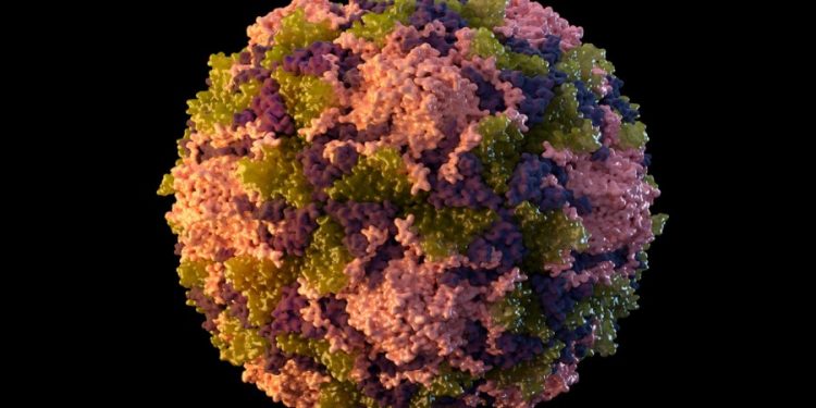 CDC starting wastewater testing for polio in select communities