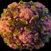 CDC starting wastewater testing for polio in select communities