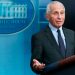 White House calls attacks on Fauci ‘incredibly dangerous’ after Musk tweets