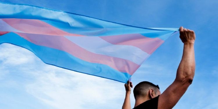 Health Care — State lawmakers turn focus to care for trans adults