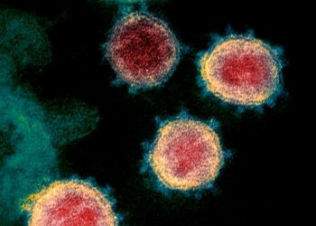 Health Care — The latest omicron subvariant to dominate the US