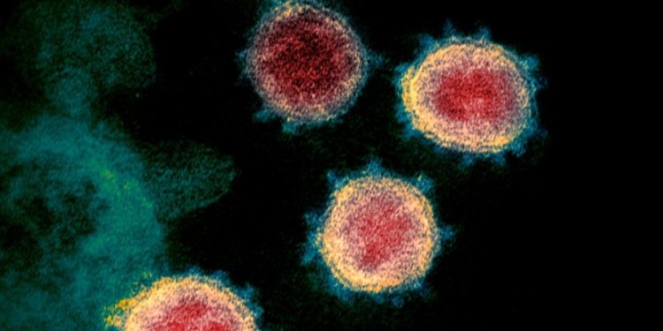 Health Care — The latest omicron subvariant to dominate the US