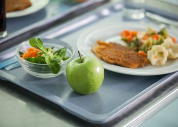 What is P-EBT and who qualifies for it?