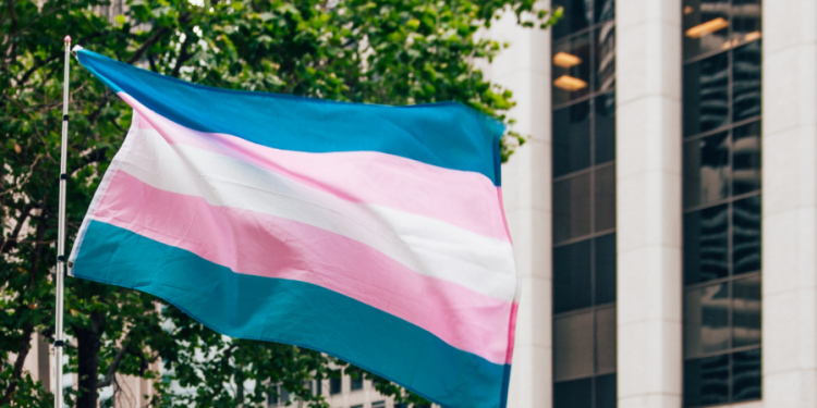 Florida ‘Reverse Woke Act’ would make employers liable for detransition care