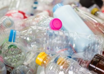 Hormone-disrupting chemicals in plastics may raise diabetes risk in women: study