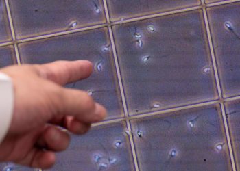 Experimental male birth-control drug shows promise in new study