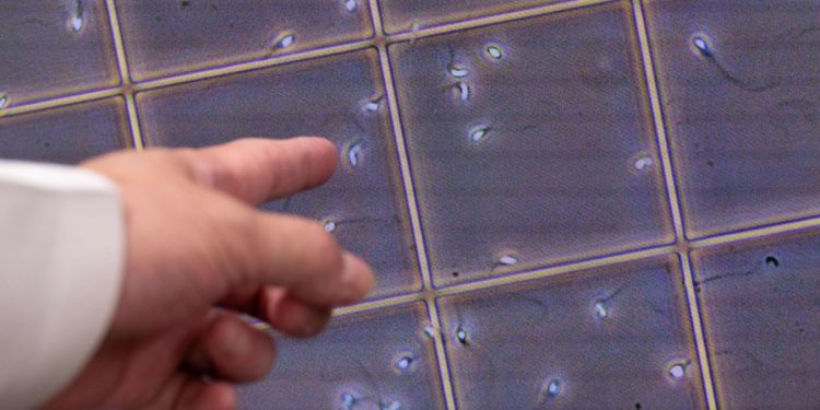 Experimental male birth-control drug shows promise in new study