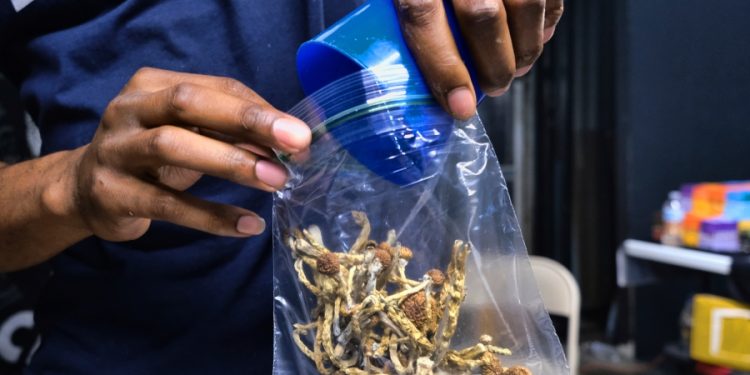 Psychedelic Medicine PAC seeks to elect leaders who support pro-psilocybin reforms