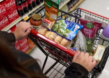 SNAP cuts could lead to ‘hunger cliff,’ experts fear