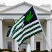 Americans now favor legal cannabis over legal tobacco