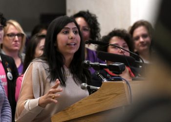 ‘Forced Pregnancy Act’: Florida Democrats file over 50 amendments to six-week abortion ban