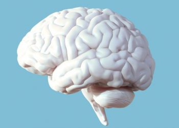Fatter welfare checks lead to healthier brains, study finds