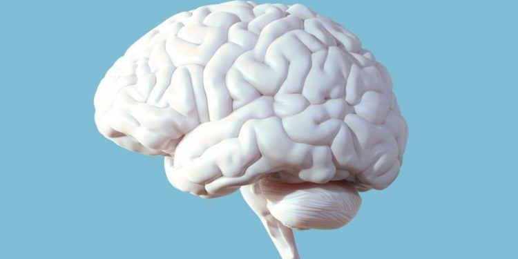 Fatter welfare checks lead to healthier brains, study finds