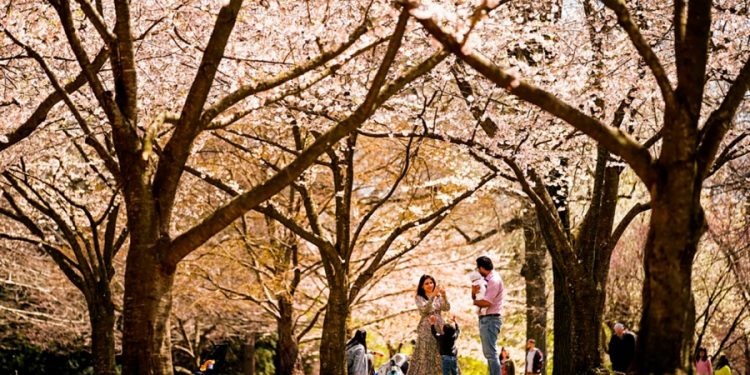 Nation’s median age jumps to almost 39, while fewer babies born: census