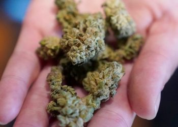 Does cannabis help with anxiety?