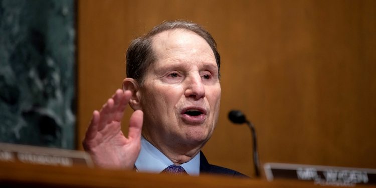 Congress urged to tackle ‘ghost networks’ amid mental health crisis