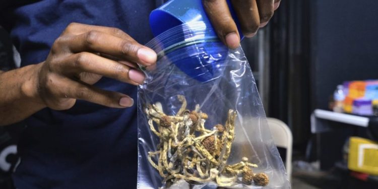 ‘Magic’ mushroom use by young adults has nearly doubled in three years