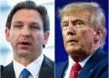DeSantis hits Trump for not firing Fauci