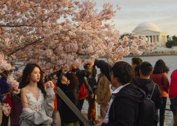 US median age hits record high in 2022, nearing 40: Census