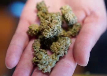 Cannabis-related ER visits rose among young people during pandemic