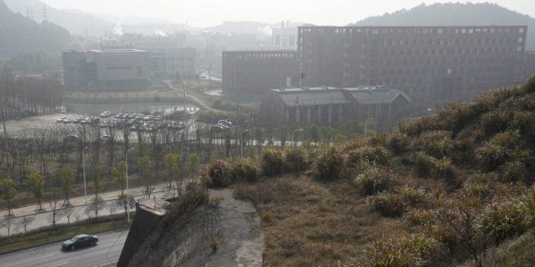 Biden administration suspends funding to Wuhan lab