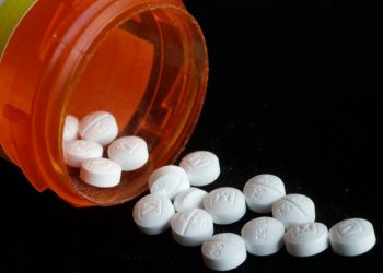 Five largest US pharma firms’ net earnings topped $81.9 billion last year: watchdog