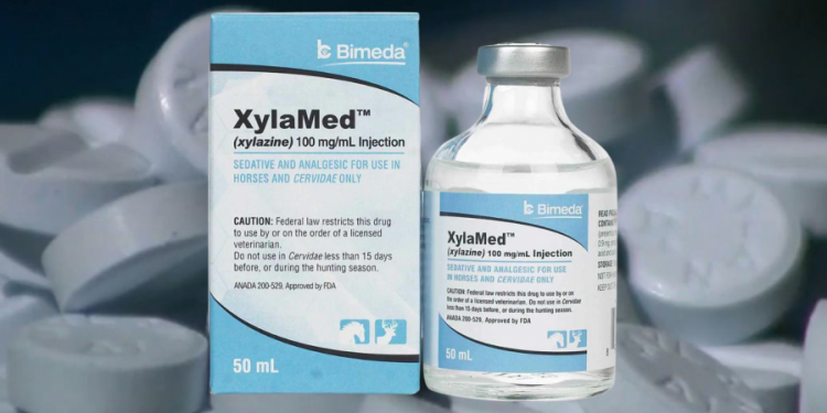 White House launches national response plan for combatting ‘tranq’ drug deaths