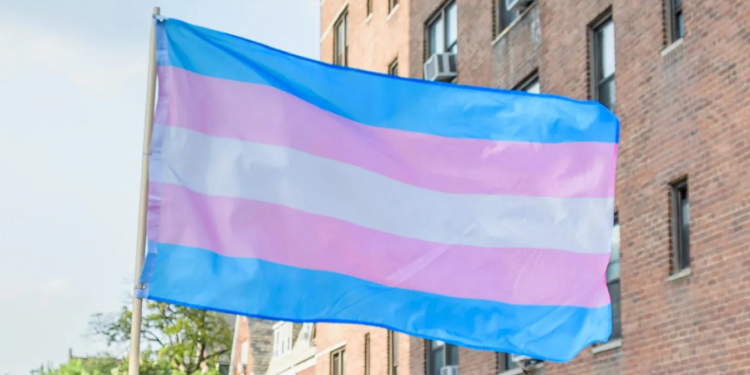 Kansas judge orders state to stop changing sex listings on trans drivers’ licenses