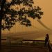 Canadian wildfire smoke led to spike in asthma ER visits in Northeast US: CDC