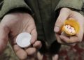 Opioids, obesity now ranked as top public health threats in new poll 