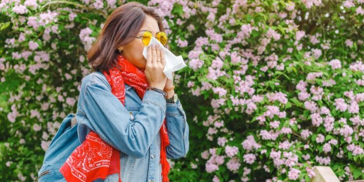 Childhood allergies, from skin to lungs, could start in the gut: study