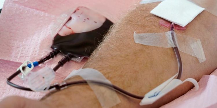 Red Cross expands blood donation access for men who have sex with men
