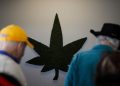 Senior citizens are the fastest-growing cannabis clientele