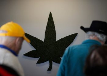 Senior citizens are the fastest-growing cannabis clientele