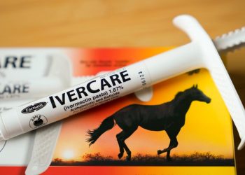 Federal appeals court revives lawsuit against FDA over COVID-19 ivermectin messaging
