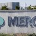 Potential link found between Merck antiviral and mutated COVID strains