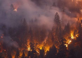 Smoke from wildfires may increase risk of dementia, study finds
