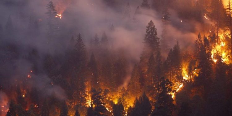 Smoke from wildfires may increase risk of dementia, study finds