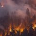 Smoke from wildfires may increase risk of dementia, study finds