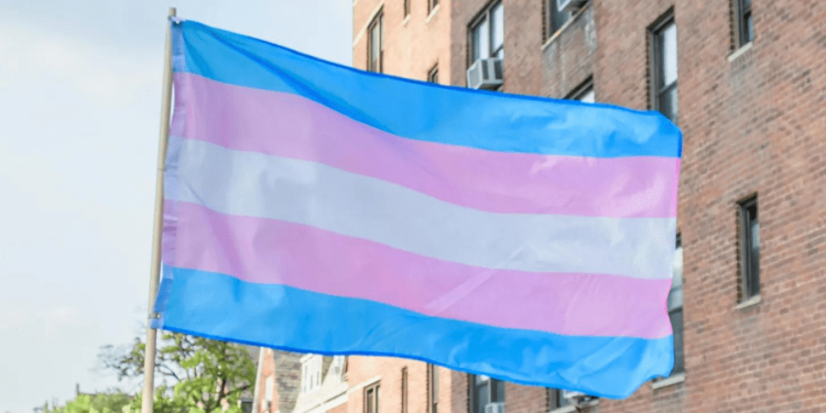 Appeals court rejects challenge to Tennessee, Kentucky gender-affirming care bans