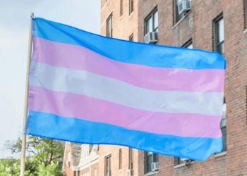 Georgia ban on hormone therapy for transgender minors can resume, judge rules