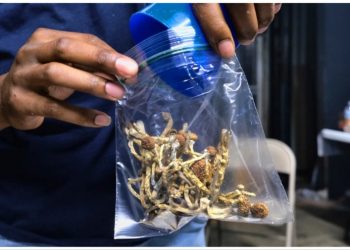 California lawmakers approve psychedelics decriminalization bill