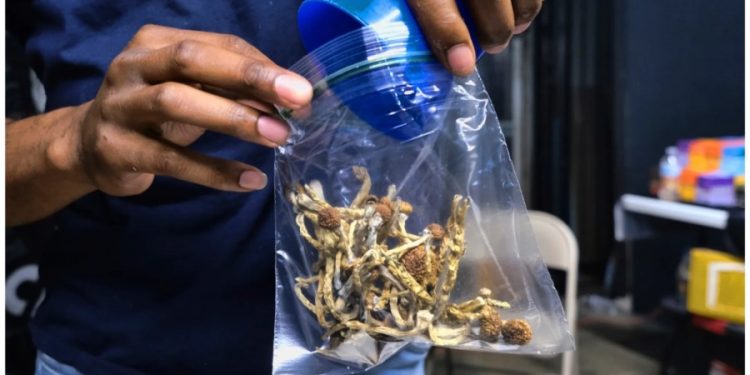 California lawmakers approve psychedelics decriminalization bill