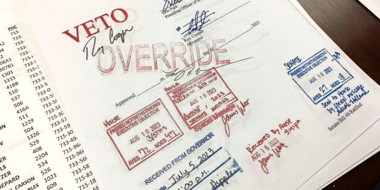 North Carolina family, doctor sue to block state’s gender-affirming health care ban