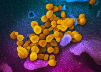 UK researchers find evidence of ‘long cold’ syndrome