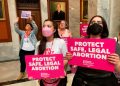 Kentucky woman suing for abortion learned her embryo has no cardiac activity