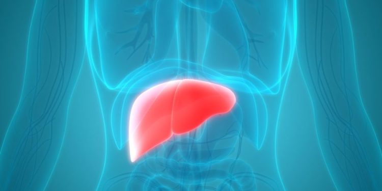 Hepatitis epidemic hits Hawaii harder than other states