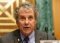 Leading abortion rights group endorses Sherrod Brown for reelection